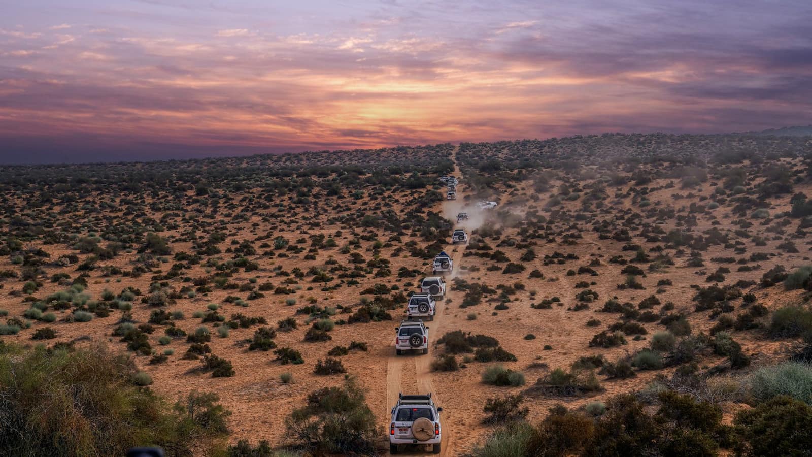 A convoy of vehicles travelling through a desert landscape at sunset