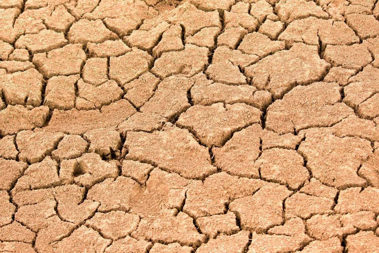 Close-up of cracked, dry earth showing the effects of drought